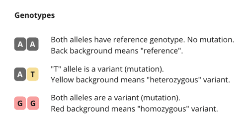 Genotype column example with reference and variant alleles